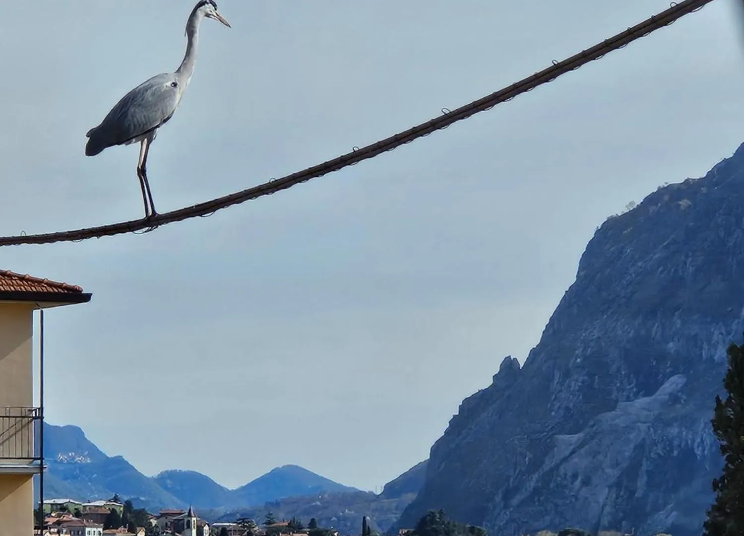 L'Airone - Casa Vacanza Mandello del Lario 0*,  Italy