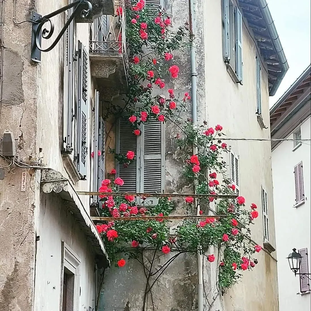 Apartment L'Airone - Casa Vacanza Mandello del Lario Italy